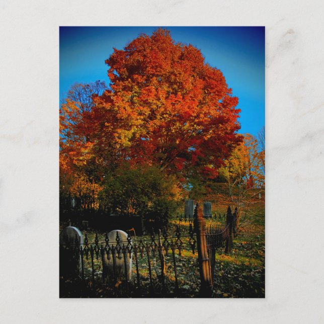 Tarjeta postal roja para siempre (Anverso)