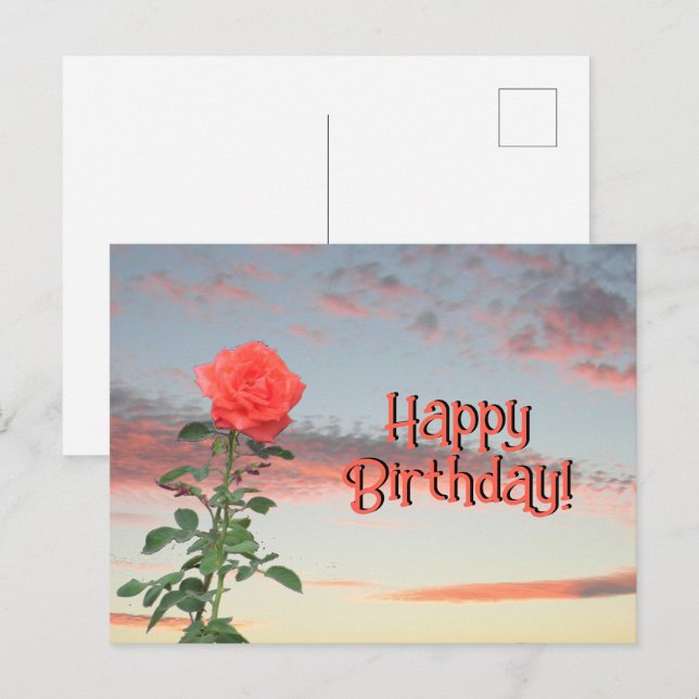 Tarjeta postal - Rosa al atardecer (Anverso / Reverso)