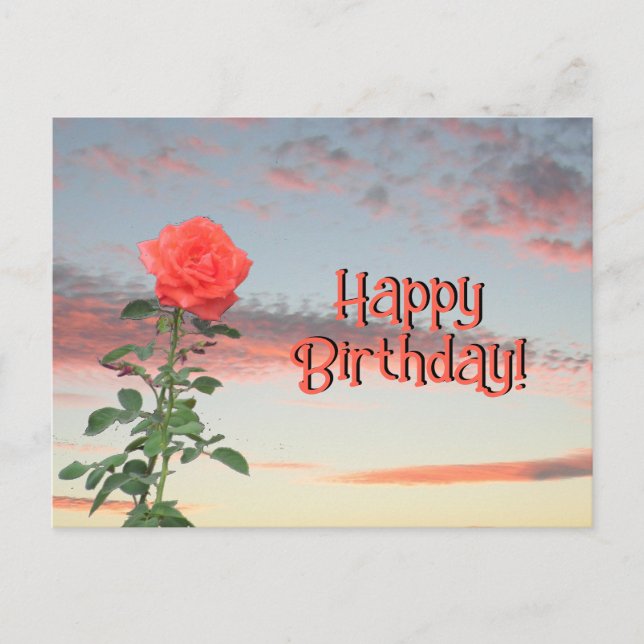 Tarjeta postal - Rosa al atardecer (Anverso)