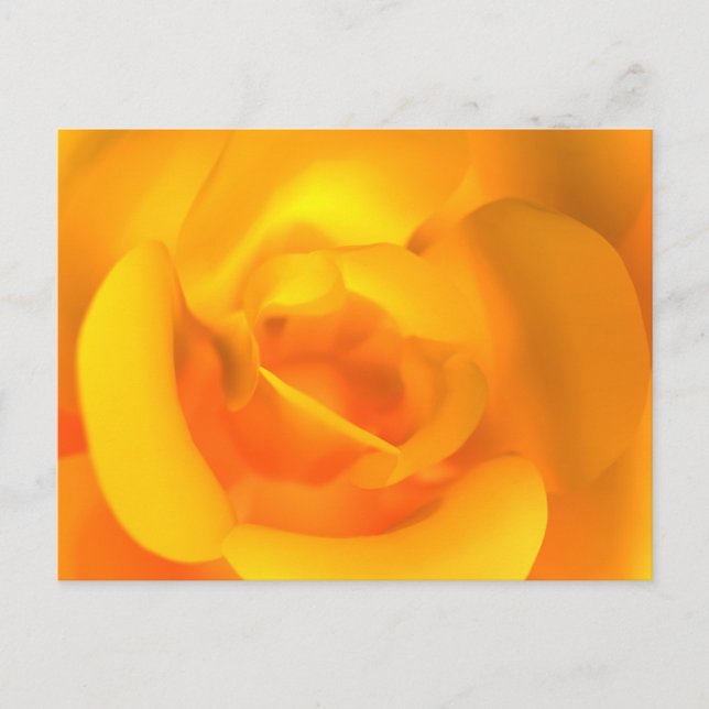 Tarjeta postal Rosa amindada (Anverso)