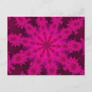 Tarjeta Postal Rosa Decasteer