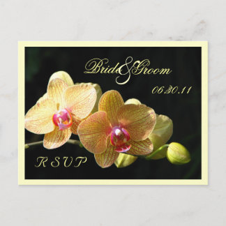 Tarjeta postal RSVP para orquídeas amarillas