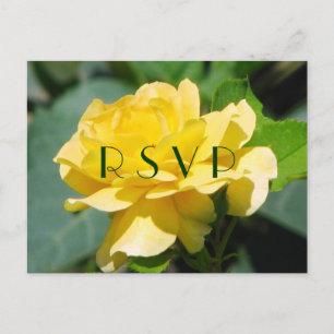 Tarjeta postal RSVP rosa amarilla