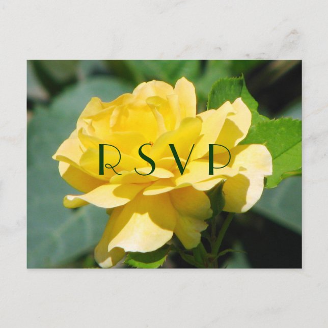 Tarjeta postal RSVP rosa amarilla (Anverso)