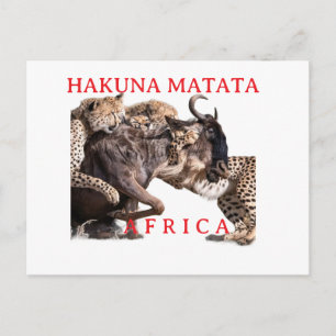 Tarjeta Postal Safari Hakuna Matata   Animales Sal