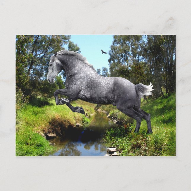 Tarjeta postal "Saltando El Creek" (Anverso)