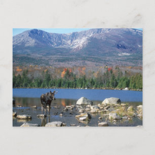 Tarjeta postal Sandy Stream Pond