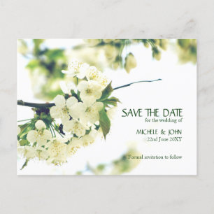 Tarjeta Postal Save The Date Flor de Cerezo Blanca
