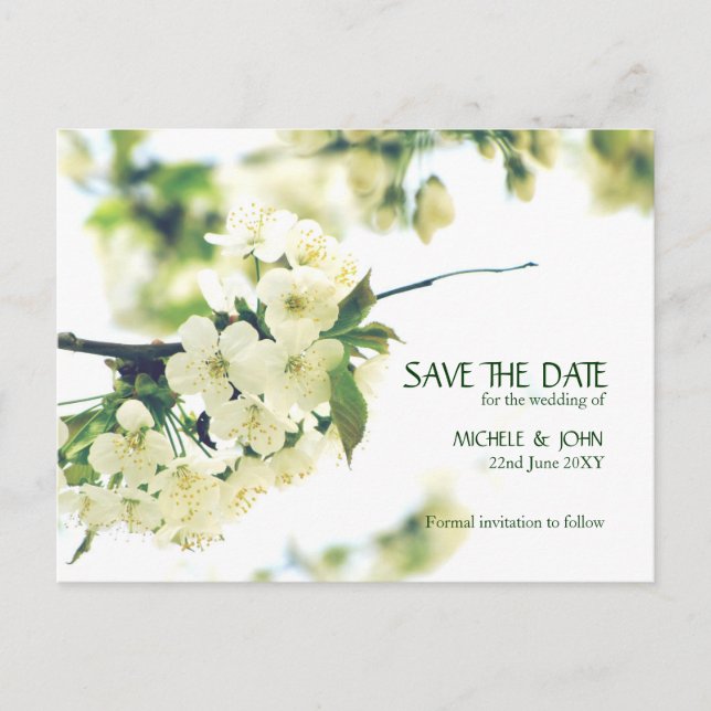Tarjeta Postal Save The Date Flor de Cerezo Blanca (Anverso)