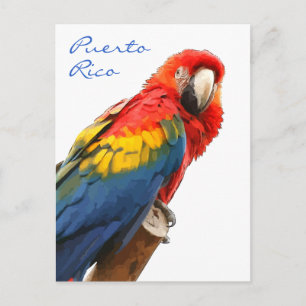 Tarjeta postal Scarlet Macaw Puerto Rico