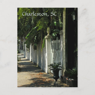 Tarjeta postal Shady Charleston