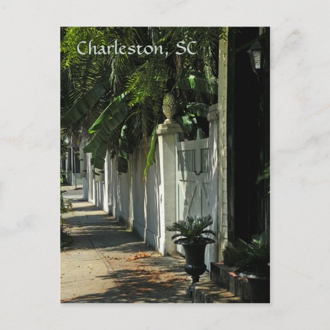 Tarjeta postal Shady Charleston (Anverso)