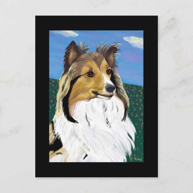 Tarjeta postal Sheltie (Anverso)