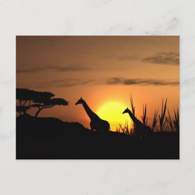 Tarjeta postal "Silueta de jirafa al atardecer" (Anverso)
