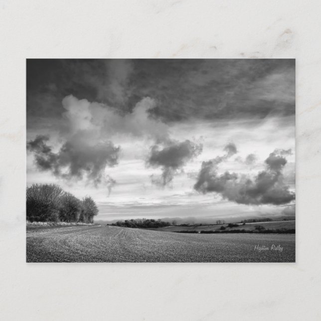 Tarjeta postal Sky Lambs, Wiltshire (Anverso)