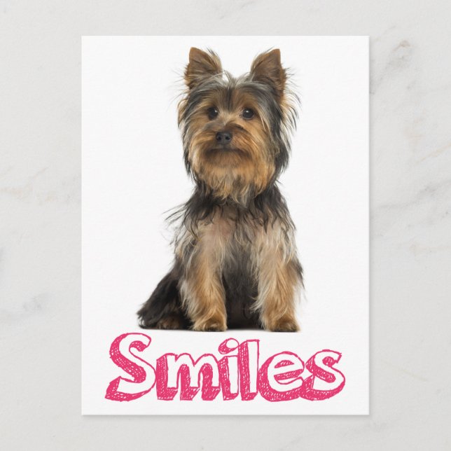 Tarjeta postal Smiles Yorkshire Terrier Puppy Dog  (Anverso)