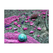 Tarjeta postal “SnailShell "