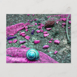 Tarjeta postal “SnailShell "
