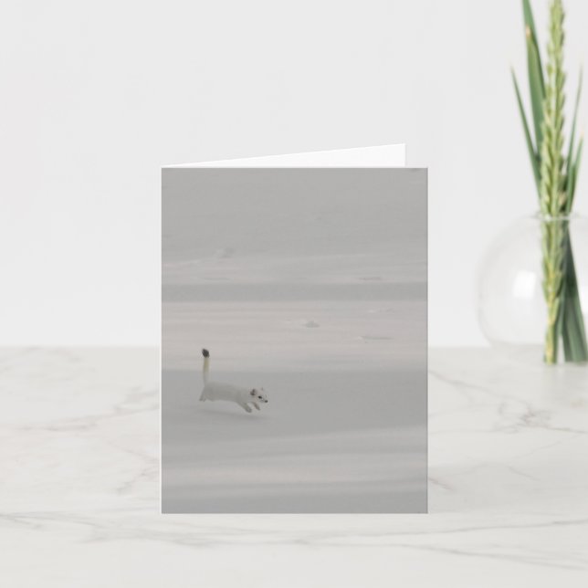 Tarjeta postal Snow Dance - 10 cm x 14,2 cm (Anverso)