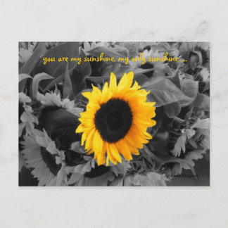 Tarjeta postal Sunshine