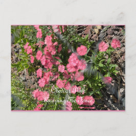 Tarjeta postal, tamaño: Tarjeta postal estándar, p