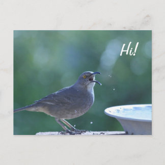 Tarjeta Postal Thrasher Splasher