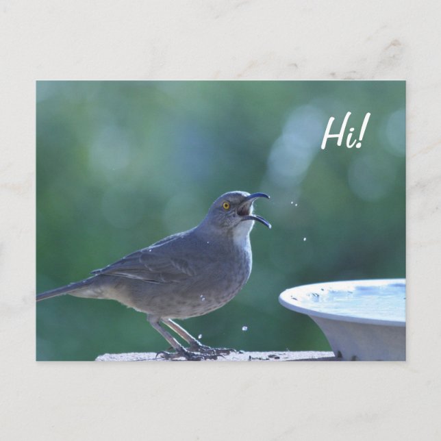 Tarjeta Postal Thrasher Splasher (Anverso)