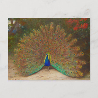 Tarjeta postal única de pavo real