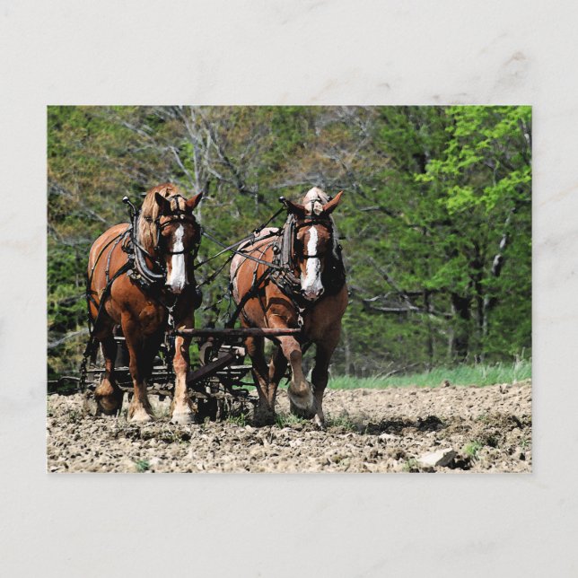 Tarjeta postal Uphill (Anverso)