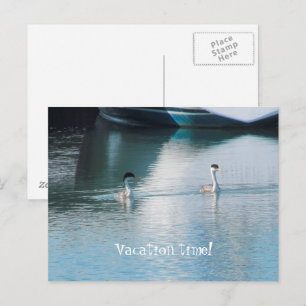 Tarjeta postal - Vacaciones en crucero