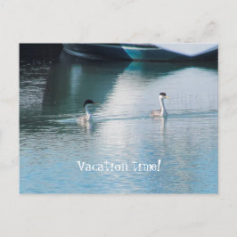 Tarjeta postal - Vacaciones en crucero