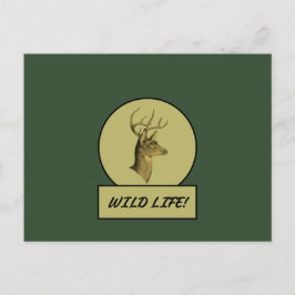 Tarjeta postal verde oscuro de Buck Head