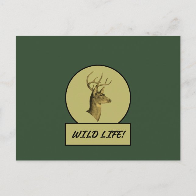 Tarjeta postal verde oscuro de Buck Head (Anverso)