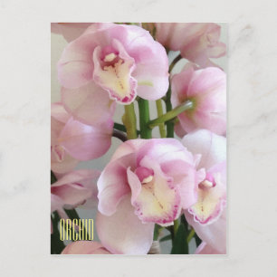 Tarjeta postal vertical para orquídeas rosas