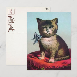 Tarjeta postal victoriana de gato extraño