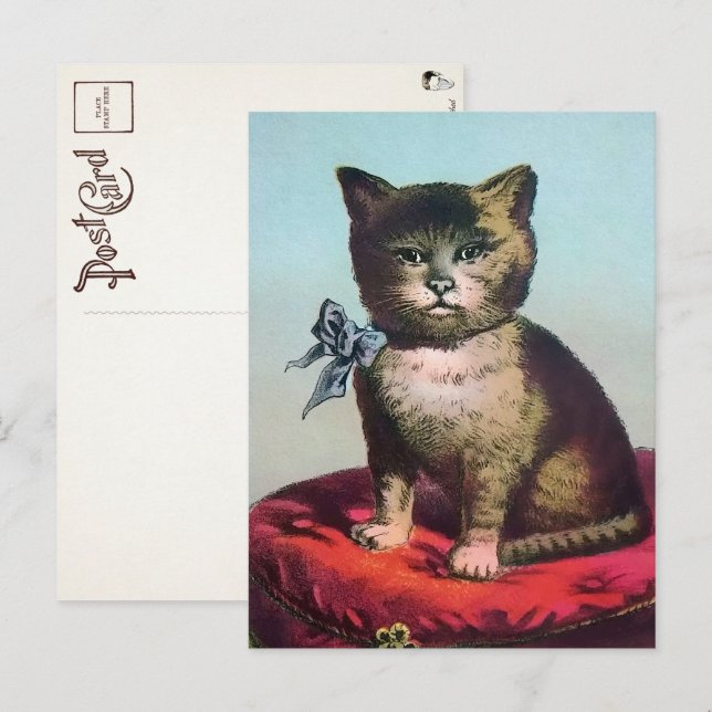 Tarjeta postal victoriana de gato extraño (Anverso / Reverso)
