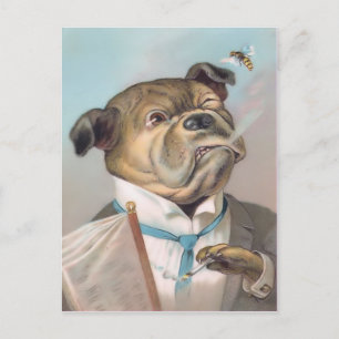 Tarjeta postal vintage de perro de negocios