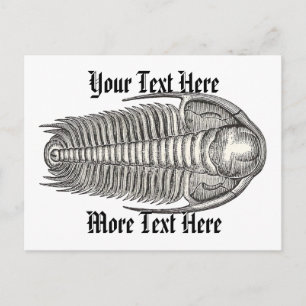 Tarjeta postal vintage de trilobites