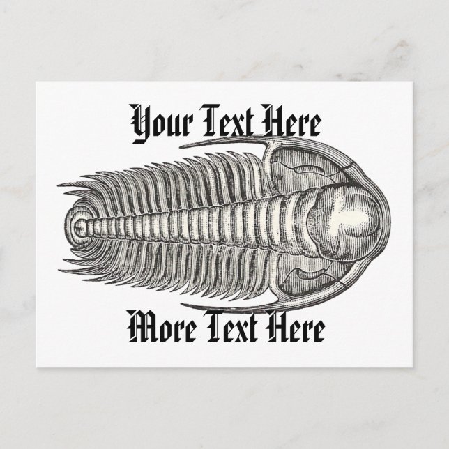 Tarjeta postal vintage de trilobites (Anverso)