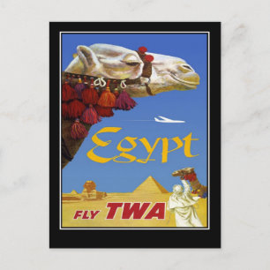 Tarjeta Postal Vintage Viajes Egipto Camello