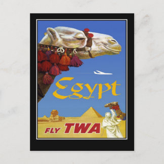 Tarjeta Postal Vintage Viajes Egipto Camello