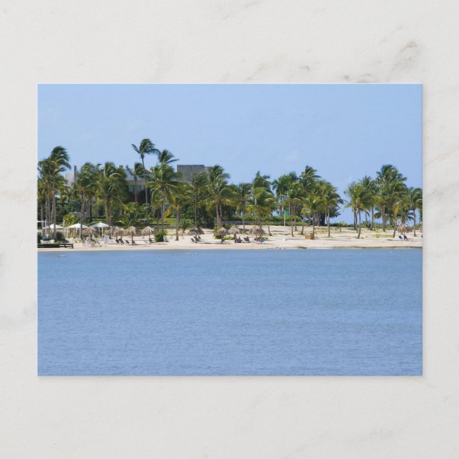 Tarjeta postal vista tropical (Anverso)