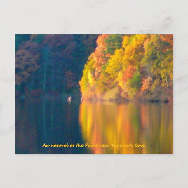 Tarjeta postal Walden Pond otoño (Anverso)