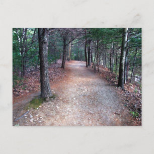 Tarjeta postal Walden Pond Trail