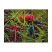 Tarjeta Postal Watch Your Back