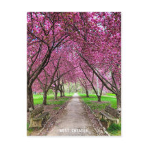 Tarjeta postal West Chester Everhart Park