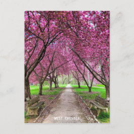 Tarjeta postal West Chester Everhart Park