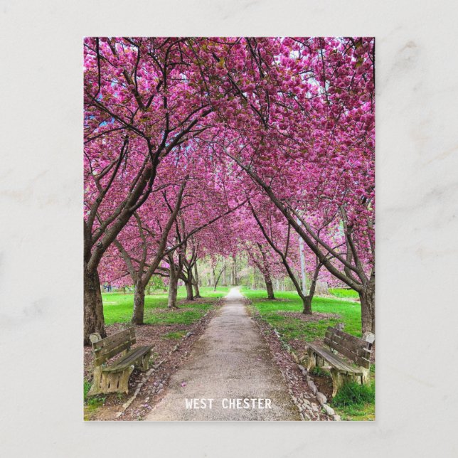 Tarjeta postal West Chester Everhart Park (Anverso)