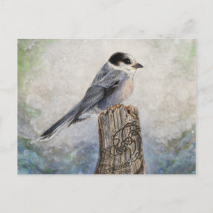 Tarjeta postal Whiskey Jack