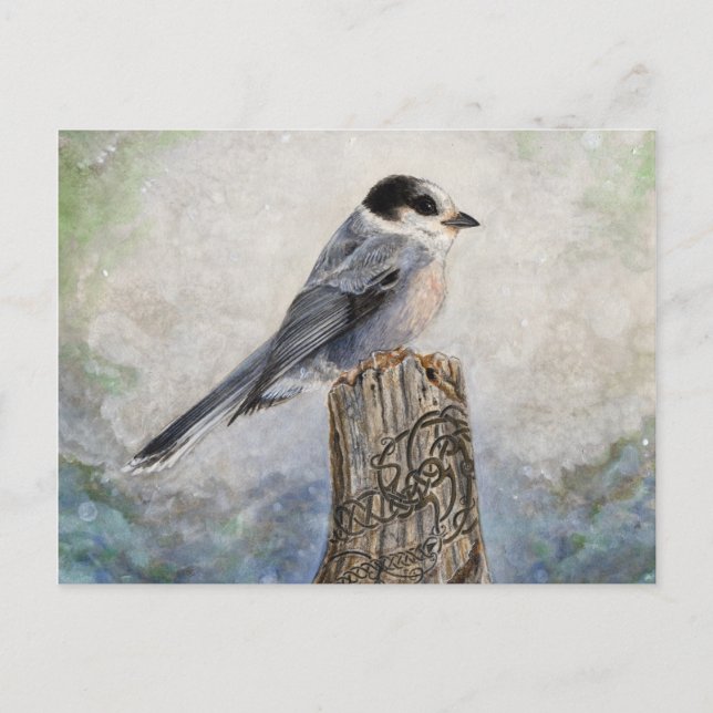 Tarjeta postal Whiskey Jack (Anverso)